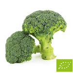 Frischer Brokkoli BIO (ca. 0,50 kg)