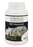 Hericium Pilze (Sonnenhut) bio 100 Kapseln (620 mg)