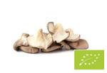 Frische Bio Austernpilze (Polen) (ca. 0,20 kg) – Bio Planet