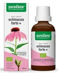 Echinacea forte (Echinacea purpurea) Tropfen BIO 50 ml