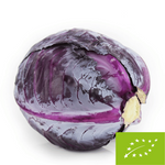 Frischer Rotkohl BIO Polen - ca. 10 kg