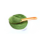 Moringa – Pulver 2 kg – Tola