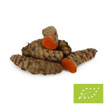 Frische Kurkuma BIO - ca. 2 kg