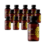 SET 12 x Kombucha BIO Probiotische Entgiftung Shot 100ml