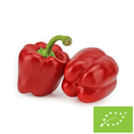 Frische rote Bio-Paprika (ca. 5 kg) – Bio Planet