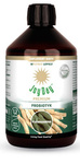 Nahrungsergänzungsmittel Probiotikum mit Ashwagandha glutenfrei BIO 500 ml - Joy Day