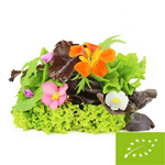 MIX SAŁAT ŚWIEŻY BIO (POLSKA) (około 100 g)