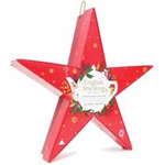 Red Star Weihnachts-Teeset (6x2)