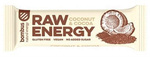 RAW ENERGY Riegel Kokosnuss-Kakao NON-GLU. 50 g