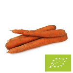 Frische ungewaschene Karotten Bio (Polen) (ca. 1,00 kg)