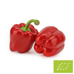 Frische rote Paprika bio (ca. 0,60 kg)