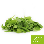 Frischer ungewaschener Rucola BIO (ca. 0,10 kg)