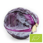 Frischer Rotkohl BIO Polen - ca. 10 kg
