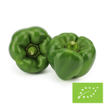 Frische grüne Bio-Paprika - ca. 5 kg – Bio Planet