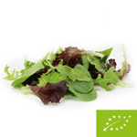 Frische ungewaschene BIO-Salatmischung (ca. 0,10 kg)