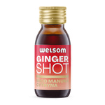 Shot mit Zitrone, Ingwer und Honig Ginger Manuka 60 ml – Welsom