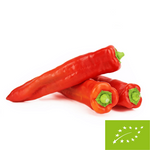 Frische lange Paprika BIO - ca. 4 kg