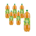 SET 6 x Kombucha grüner Tee BIO 2 l