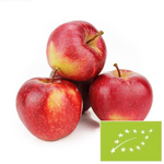 Frische Gala-Äpfel BIO (Polen) - ca. 13 kg