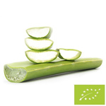 Frische Aloe vera bio (ca. 0,50 kg)
