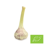 Frischer Knoblauch BIO (Polen) - ca. 125 g