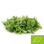 Frischer ungewaschener Feldsalat BIO (ca. 0,10 kg)