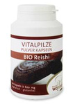 Reishi Pilze (Lackkraut) bio (620 mg) Nahrungsergänzungsmittel 100 Kapseln - Pilze Wohlrab