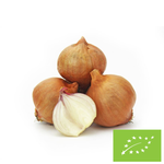 Frische Bio-Schalotten – ca. 0,50 kg