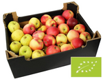 Saftige Äpfel frisch BIO Polen - ca. 5 kg