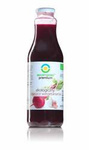 Vegetarischer Borschtsch BIO 500 ml