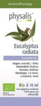 Ätherisches Öl des australischen Eukalyptus (Eucalyptus radiata) BIO 10 ml