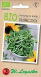 Keimlinge - Sonnenblume BIO 10 g