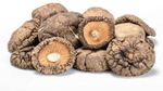 Shiitake (getrocknete Pilze) BIO (Rohmaterial) (10 kg) 4