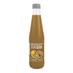 Apfel-Kiwi-Saft 100% 330 ml