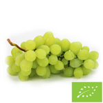Frische Bio Weiße Trauben - ca. 3 kg