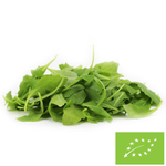 Frischer ungewaschener Rucola BIO (ca. 0,10 kg)