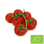 Frische Bio-Zweigeltomaten (ca. 0,45 kg)