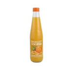 Mandarinensaft 100% 330 ml