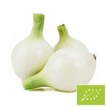 Frische weiße Bio-Süßzwiebel (Polen), Großpackung – ca. 5 kg